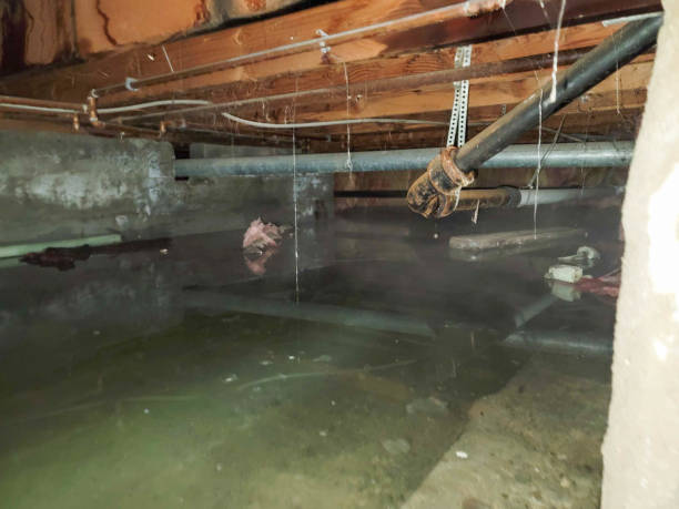 Water damage restoration experts in Glens Falls, NY