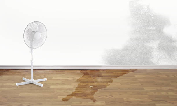 Best Emergency water damage restoration  in Glens Falls, NY